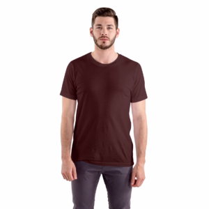 mens half sleeves t-shirt marron